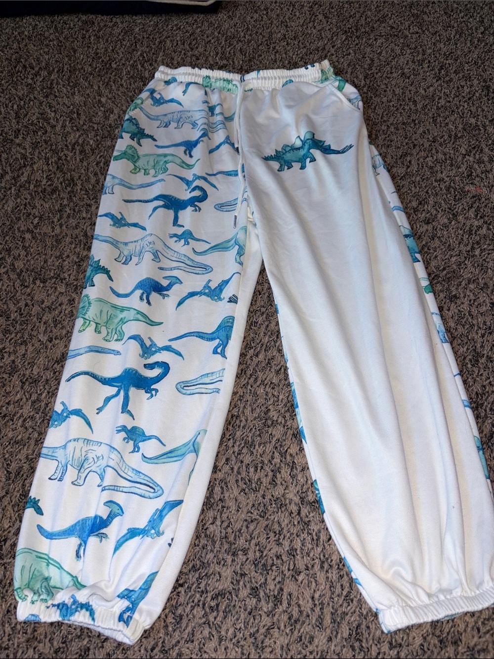 White Blue Green Dinosaur Sweatpants